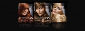 Clairol Nice 'n Easy Perfect 10: A winning makeover