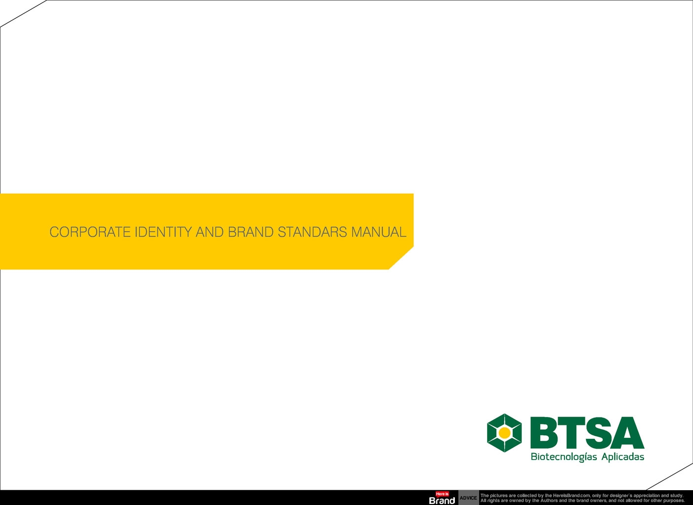 BTSA Corporate Identity and Brand Standards Manual