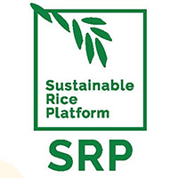 624707-srp_brand_manual_2020