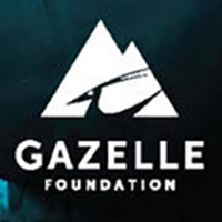 634919-gazelle_brand_guideines