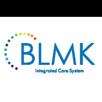 636620-blmk_ccg_brand_toolkit