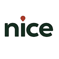 641925-nice_network_of_indian_cultural_enterprises_brand_guidelines