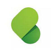 Bloomerang_Visual_Guidelines-0001-BrandEBook.com