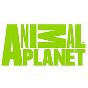 BrandEBook.com-Animal_Planet_2008_International_Off-Air_Brand_Guidelines-0001