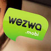 BrandEBook.com-wezwa_identity_guidelines-0001