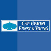 BrandEBook_com_cap_gemini_ernst_and_young_brand_book_-1