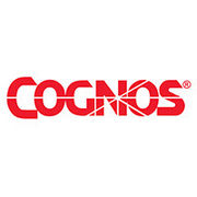 BrandEBook_com_cognos_brand_guide_-1