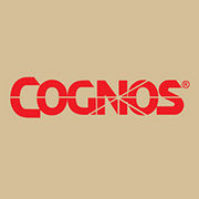 BrandEBook_com_cognos_brand_standards_-1