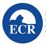BrandEBook_com_european_conservatives_and_reformists_group_graphic_standards_manual_-1