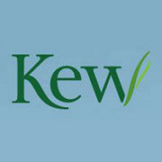 BrandEBook_com_kew_elements_brand_guidelines_-1