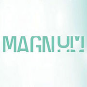 BrandEBook_com_magnum_brand_guidelines_-1