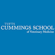 BrandEBook_com_tufts_cummings_school_of_veterinary_medicine_style_guide_-1