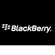 Get_it_at_Black_Berry_World_Logo_Guidelines-0001-BrandEBook.com