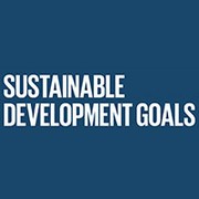Sustainable_Development_Goals_Guidelines_For_The_Use_001-BrandEBook.com