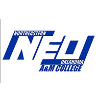 neo_brand_identity