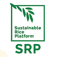 srp_brand_manual_2020