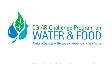 Cgiar Challenge Program on Water and Food visual identity system