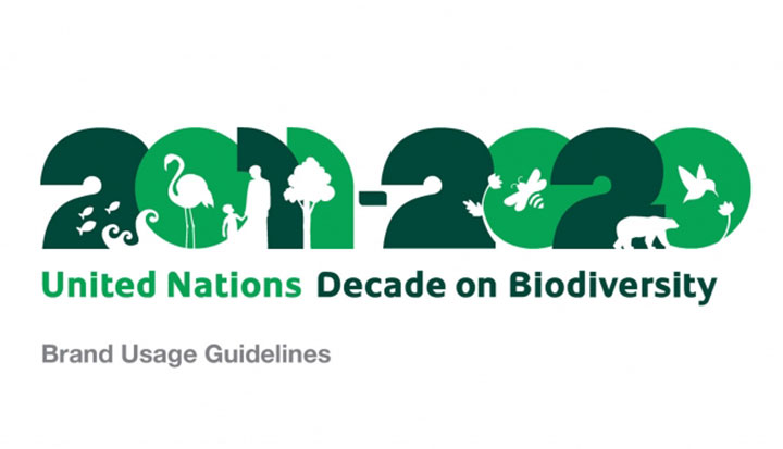 2011-2020 United Nations Decade on Biodiversity brand usage guidelines